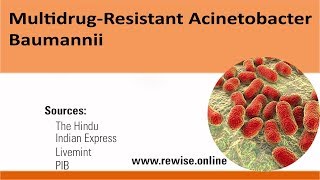 Multidrug  Resistant Acinetobacter Baumannii [upl. by Paapanen]