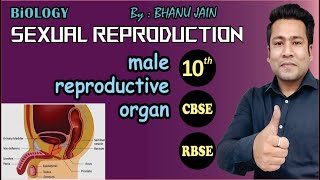 Sexual Reproduction 03  Biology  Class 10 [upl. by Bond]