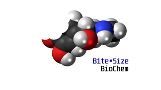 BiteSize Biochem Acetyl CoA and the TCA Cycle [upl. by Sgninnej]