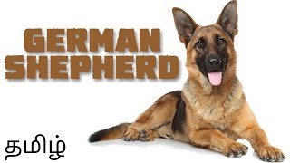 German shepherd breed  details  Tamil [upl. by Stoeber237]