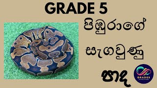 5 ශ්‍රේණිය පරිසරය උරගයින් හදුනා ගනිමු  අප අවට සත්තු‍ [upl. by Benkley]