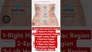 9Abdominal Regions video doctor mbbs neet anatomy medical youtubeshorts [upl. by Zehcnas]