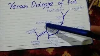 Venous drainage of face [upl. by Felic]