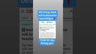 AfD Antrag in Stendal❗Stadt soll Asylbewerber beschäftigen 💥 [upl. by Ycrad749]