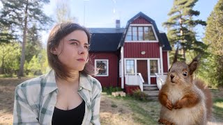 How I live in rural Sweden as a photographer and baby squirrels [upl. by Relluf]