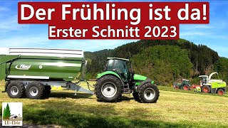 Der Frühling ist da Erster Schnitt 2023  Silage Häckseln im Schwarzwald [upl. by Kirsten]