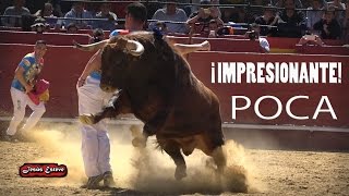 EMOCIONANTE CONCURSO DE RECORTES VALENCIA 2017 GRAN FINAL [upl. by Asirral]