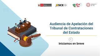 Audiencia de Apelación del Tribunal de Contrataciones del Estado  S5EXP118652023TCE [upl. by Anera878]