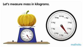 Using a Scale  Kilograms [upl. by Ylluz]