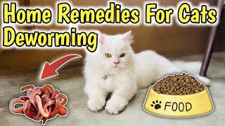 How to Deworm a cat with Home Remedies  Home Remedies for Deworming Cats  Cat Worms Treatment [upl. by Feirahs40]