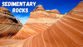 Three types of Sedimentary Rocks [upl. by Attebasile]