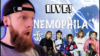 LIVE NEMOPHILA  RAITEI REACTION [upl. by Aiasi]