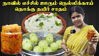 Nellikaai Thokku Recipe in Tamil  Curd rice  Thairu saadham  நெல்லிக்காய் தொக்கு [upl. by Nnayram]