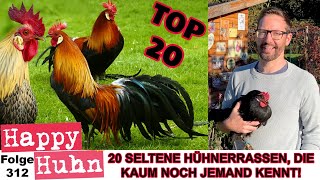 20 Seltene Hühnerrassen die in der HobbyHühnerhaltung kaum noch bekannt sind HAPPY HUHN E312 huhn [upl. by Denn]