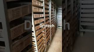 Drytech heat pump dryer used to drying notoginseng [upl. by Goldsworthy]