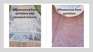 How To Recognize Efflorescence [upl. by Raseta567]