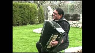 Slobodan Bozinovic Kralj vlaske muzike [upl. by Viviene13]