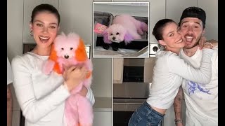 Nicola Peltz shocks fans as she dyes her dogs pink and orange after filing lawsuit against pet [upl. by Aemat270]