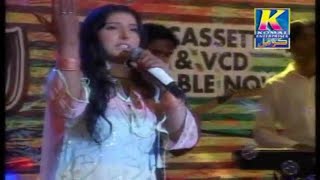 Suraiya Soomro  Dua Kar Wisri Wani  Sindhi Songs [upl. by Appilihp]