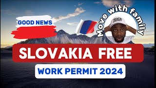 The ULTIMATE Guide to Moving to Slovakia [upl. by Yerffoej]