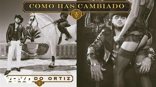 Gerardo Ortiz  Cómo Has Cambiado Audio [upl. by Allisan67]