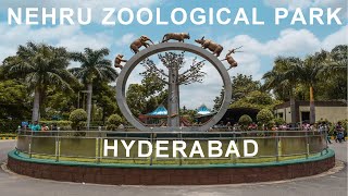 NEHRU ZOOLOGICAL PARK  HYDERABAD  TELANGANA nehruzoologicalpark hyderabad [upl. by Ahtennek446]