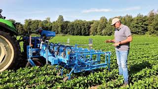 Schoffelen in sperziebonen met Lemken ECweeder [upl. by Jamal]