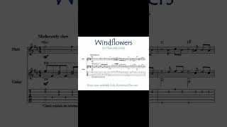 Windflowers Short flute and guitar [upl. by Riana]