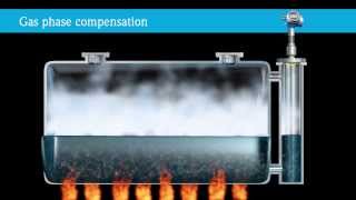 Levelflex Gasphase Compensation High Temperature and High Pressure [upl. by Trilby]