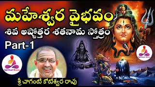 Maheswara Vaibhavam in telugu by chaganti part 1 shiva ashtottara shatanama stotram [upl. by Kola602]