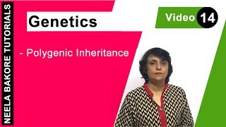 Genetics  Principles of Inheritance amp Variations  NEET  Polygenic Inheritance  Neela Bakore [upl. by Doownelg]