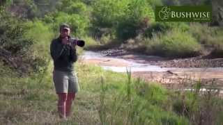 Bushwise FGASA Field Guide Course  the movie 2014 [upl. by Garrick997]