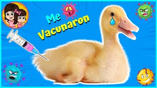 VACUNAMOS A NUESTRO PATITO JUAN  Las Leoncitas Kids [upl. by Ernest778]