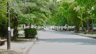 The Beauty Around Me  Cinematic photography amp videography  in May 2024 世界は美しいものであふれている [upl. by Standush]