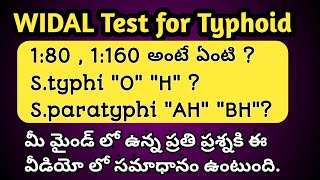 How to read Typhoid Widal Blood Test Report in Telugu [upl. by Onafets]