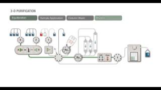 Automated 2D Purification with NGC™ Chromatography Systems [upl. by Erimahs]