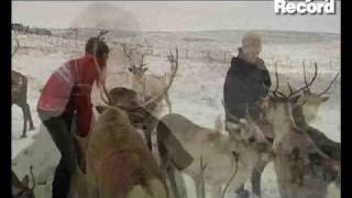 Snow falls for Scotlands reindeer [upl. by Woothen]