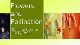 Flowers and Pollination  General Science  ICSE  CBSE  Exam Revision [upl. by Rabbaj]