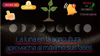 FASES DE LA LUNA EN LA AGRICULTURA Que labores realizar cultivos adecuados en cada ciclo lunar [upl. by Euginom]