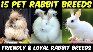 Pet Rabbit Breeds  Best Rabbit Breeds for Beginners  Bunny Breeds for Pets [upl. by Gladys193]