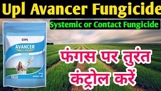 Avancer Glow Fungicide ।। Upl Avancer Glow Fungicide ।। Azoxystrobin83Mancozeb 667WG [upl. by Talbott]