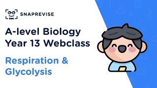 Biologie Cellulaire le réticulum endoplasmique [upl. by Orpah]