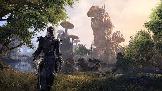 The Elder Scrolls Online  Aldmeri Dominion • All Exploration Music including Summerset [upl. by Lledyr386]