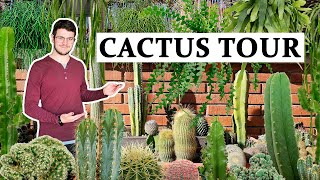 Cactus Tour  2024 [upl. by Latterll]