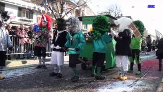 Fasnacht Reinach 2013 [upl. by Shear]