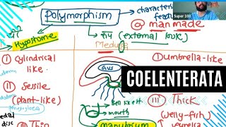 PHYLUM COELENTERATA [upl. by Oneg995]