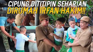 SEHARIAN NGASUH BINATANG DIRUMAH IRFAN HAKIM CIPUNG KEGIRANGAN DIKASIH BABY DOMBA BUAT BAWA PULANG [upl. by Foss]