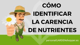 CÓMO IDENTIFICAR LA CARENCIA DE NUTRIENTES EN LAS PLANTAS [upl. by Press537]