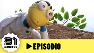 31 minutos  Episodio 102  El árbol furioso [upl. by Jairia]