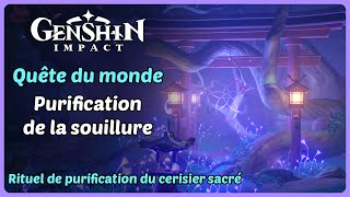 Quête  Purification de la souillure Rituel de purification du cerisier sacré  Genshin Impact [upl. by Ssidnak129]